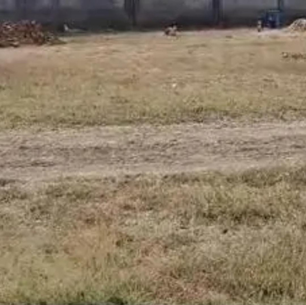  14400 Sq.ft. Commercial Land for Sale in Padi, Chennai