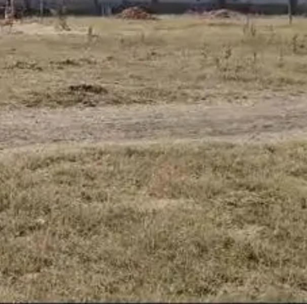  14400 Sq.ft. Commercial Land for Sale in Padi, Chennai