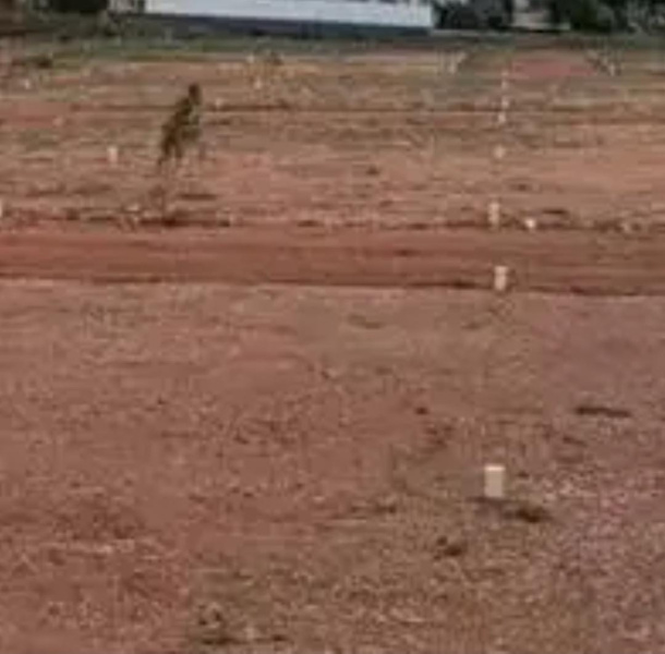  1 Acre Commercial Land for Sale in East Coast Road, Chennai