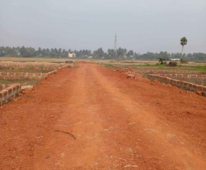  Residential Plot 1000 Sq.ft. for Sale in Athagad, Cuttack