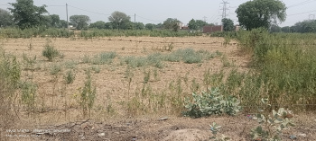  Agricultural Land for Sale in Fatehabad Road, Agra