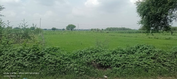  Agricultural Land for Sale in Fatehabad, Agra