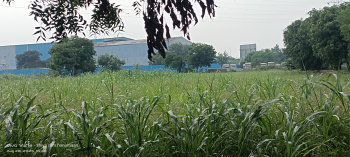  Residential Plot for Sale in Fatehabad Road, Agra