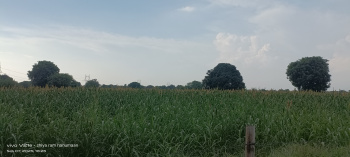  Residential Plot for Sale in MG Road, Agra