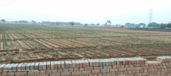  Residential Plot for Sale in Fatehabad Road, Agra