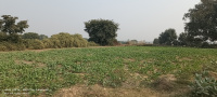  Residential Plot for Sale in Fatehabad Road, Agra
