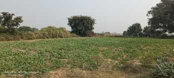 Residential Plot for Sale in Fatehabad Road, Agra