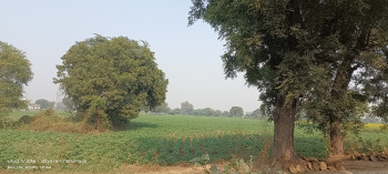  Residential Plot for Sale in Fatehabad Road, Agra