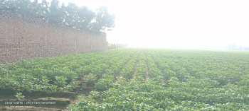 Residential Plot for Sale in Fatehabad Road, Agra