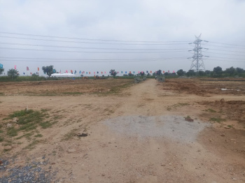  Agricultural Land for Sale in Chaksu, Jaipur