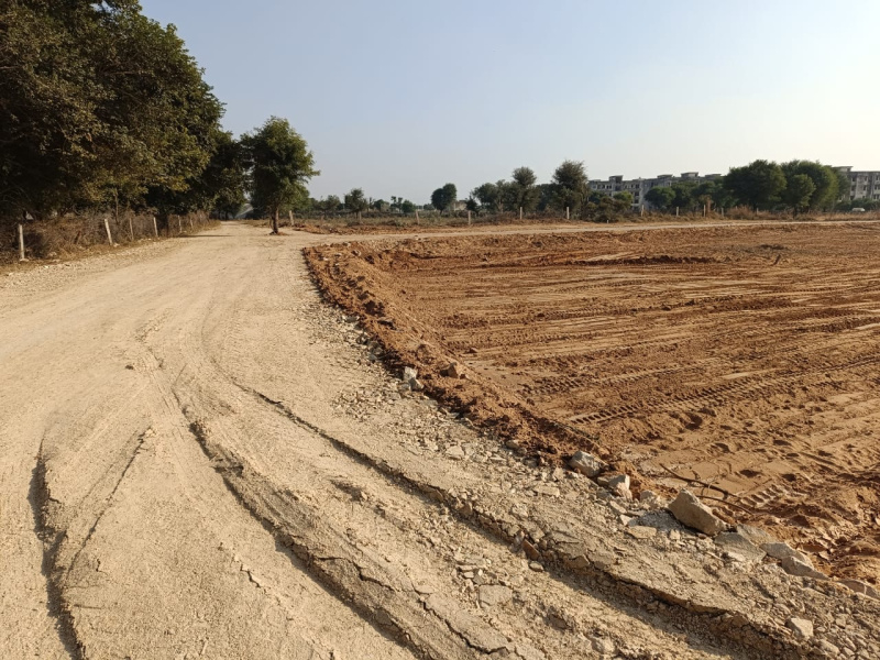  Agricultural Land 23 Bigha for Sale in Kotkhawda, Jaipur