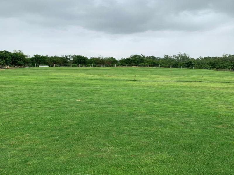  Agricultural Land 4 Bigha for Sale in Shahpura, Jaipur