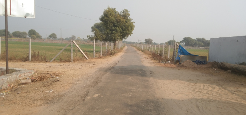 2 BHK Farm House 1500 Sq. Yards for Sale in Sambhar, Jaipur