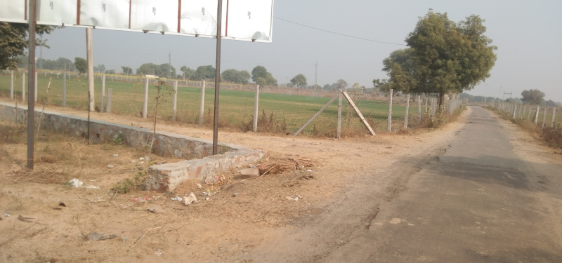 2 BHK Farm House 1500 Sq. Yards for Sale in Sambhar, Jaipur