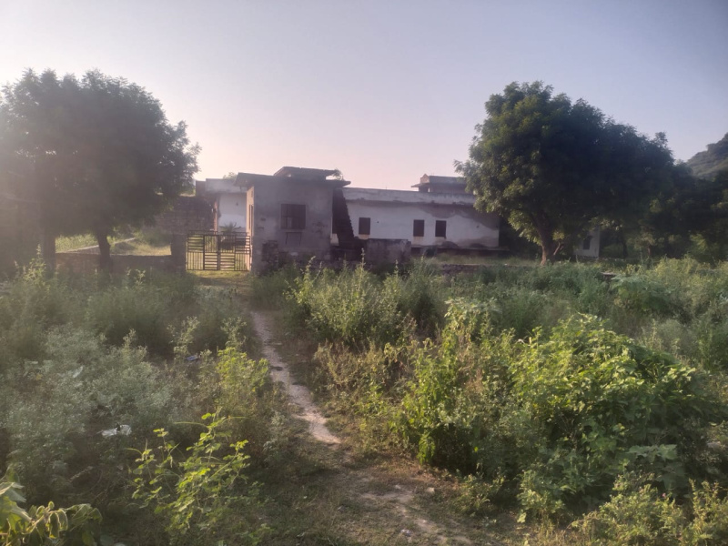  Agricultural Land 6 Bigha for Sale in Jagatpura, Jaipur