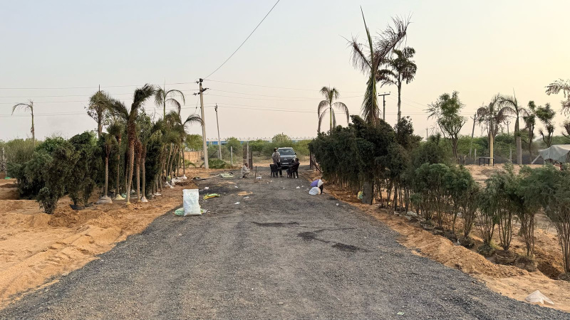  Residential Plot 125 Sq. Yards for Sale in Diggi Road, Jaipur