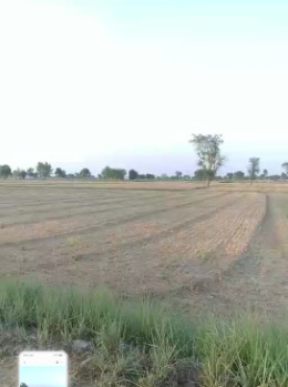 1.5 BHK Farm House for Sale in Govindgarh, Alwar