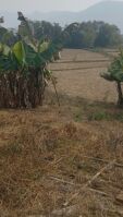  Residential Plot for Sale in Chumukedima, Dimapur