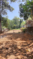  Agricultural Land for Sale in Mezhuveli, Pathanamthitta