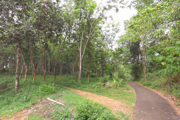  Agricultural Land for Sale in Pala, Kottayam