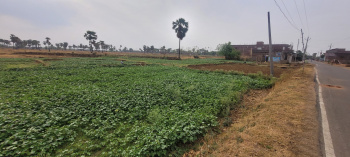  Residential Plot for Sale in Sherghati, Gaya