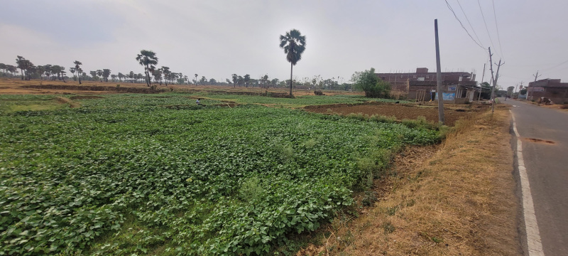  Residential Plot 30 Dismil for Sale in Sherghati, Gaya