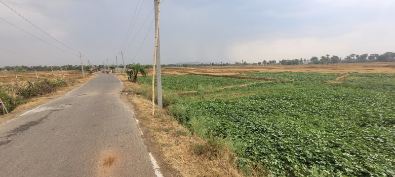  Residential Plot 30 Dismil for Sale in Sherghati, Gaya