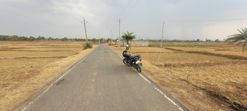  Residential Plot 30 Dismil for Sale in Sherghati, Gaya