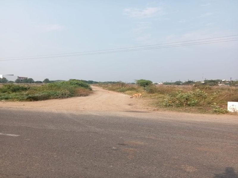  Industrial Land 18 Bigha for Sale in Savli Town, Vadodara