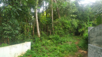  Residential Plot for Sale in Ottapalam, Palakkad