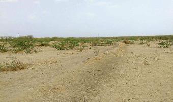  Commercial Land for Sale in Focal Point, Dera Bassi