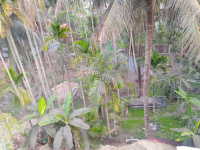  Residential Plot for Sale in North Dumdum, North 24 Parganas