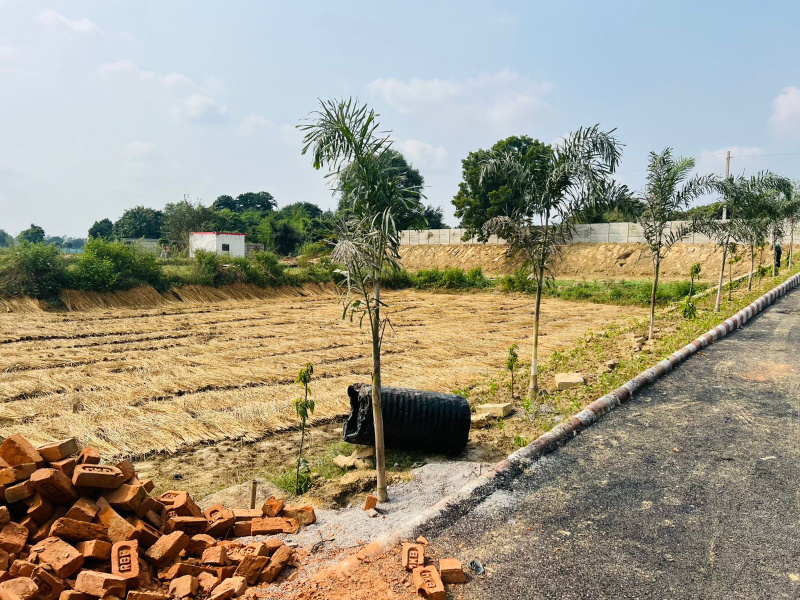  Residential Plot 1000 Sq.ft. for Sale in Sultanpur Road, Lucknow