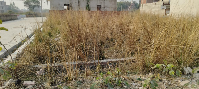  Residential Plot 1000 Sq.ft. for Sale in Tiwariganj, Lucknow