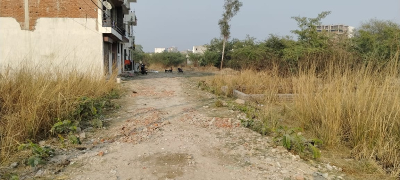  Residential Plot 1250 Sq.ft. for Sale in Lucknow Faizabad Highway