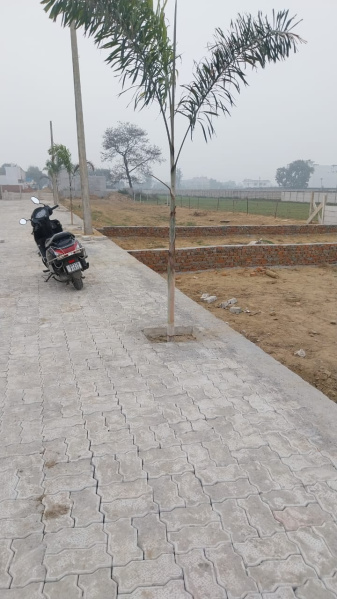  1000 Sq.ft. Residential Plot for Sale in Lucknow Faizabad Highway