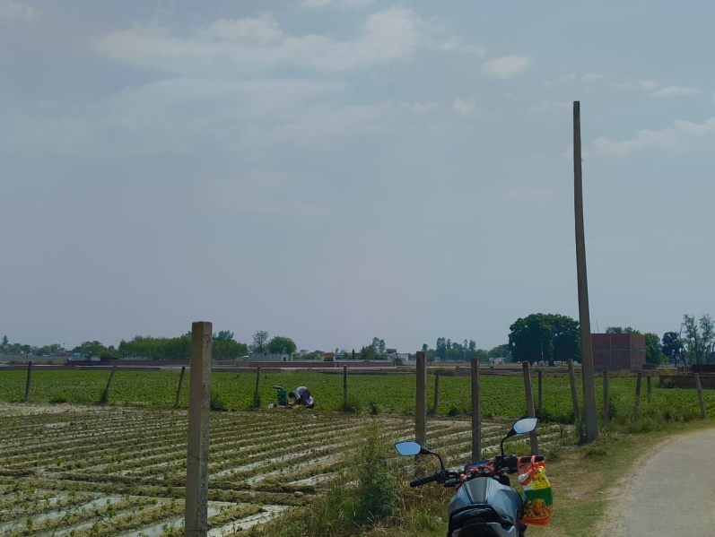  1200 Sq.ft. Residential Plot for Sale in Deva Road, Lucknow