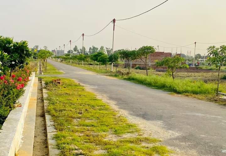 Hingna, Wanadongri, Nagpur photo 4