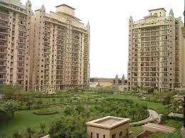 3 BHK Flat for Sale in Ats Paradiso, Greater Noida