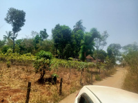  Residential Plot for Sale in Mannarkkad, Palakkad