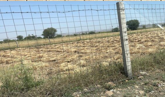  Commercial Land 4 Bigha for Sale in Ranthambhore National Park, Sawai Madhopur