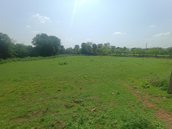  Agricultural Land for Sale in Ranthambhore National Park, Sawai Madhopur