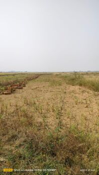  Industrial Land for Sale in Retang, Bhubaneswar