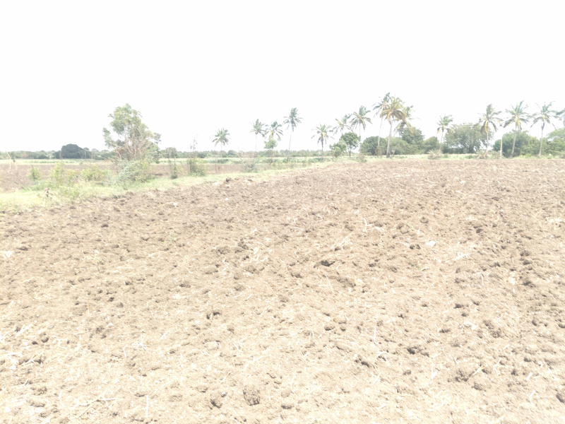 Jath, Sangli photo 4