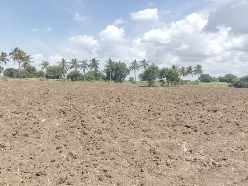 Jath, Sangli photo 3