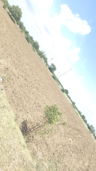 Jath, Sangli photo 2