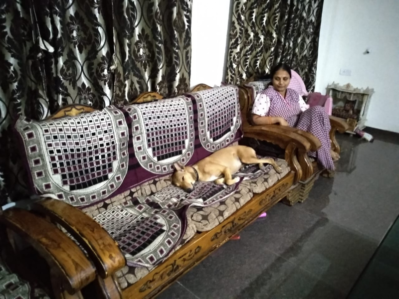 4 BHK 3750 Sq.ft. Villa for Sale in Pandhari Nagar, Handewadi, Hadapsar, Pune