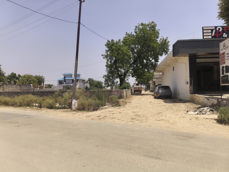 Dankaur, Gautam Buddha Nagar photo 3