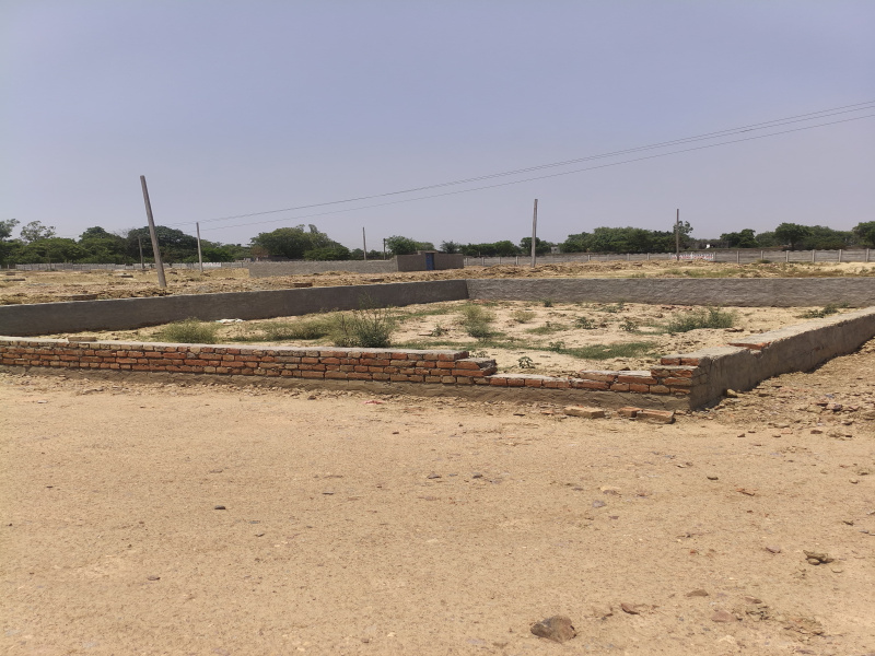 Dankaur, Gautam Buddha Nagar photo 5