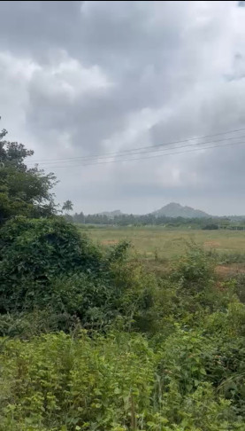 5 Acre Residential Plot for Sale in NH 44, ChikBallapur